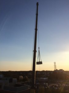 Crane.