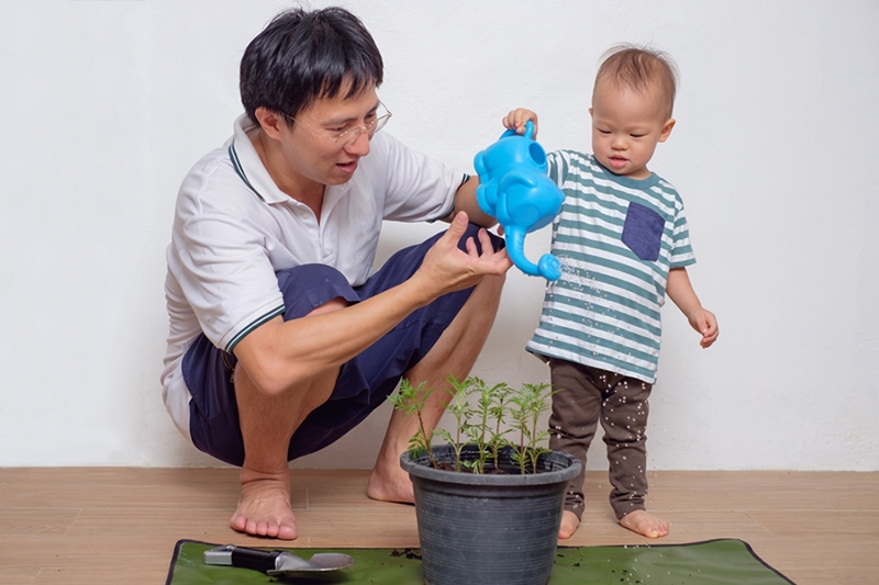 Smiling Middle age asian father teaching his cute little asian 18 months / 1 year old toddler baby boy child about plants at home / apartment in the urban city, they watering plant from watering can, HVAC Ways to Go Green in Your Home