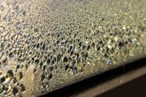 Morning sunlight through window condensation. How Can You Manage Your Home’s Humidity?