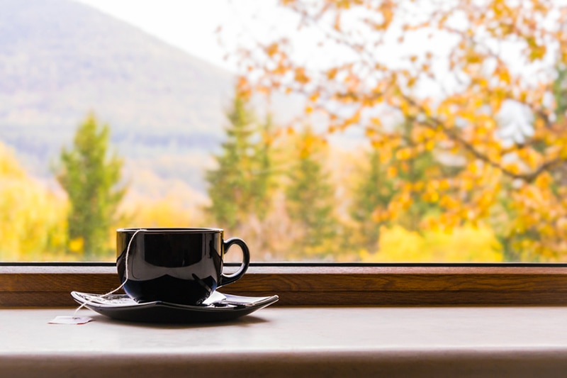 Cup of tea in front of window with autumn view, Why Do I Need a Humidifier in the Fall?