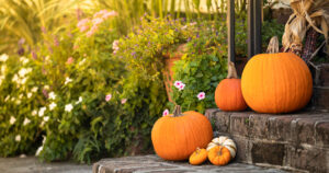Pumpkins on a front porch step.