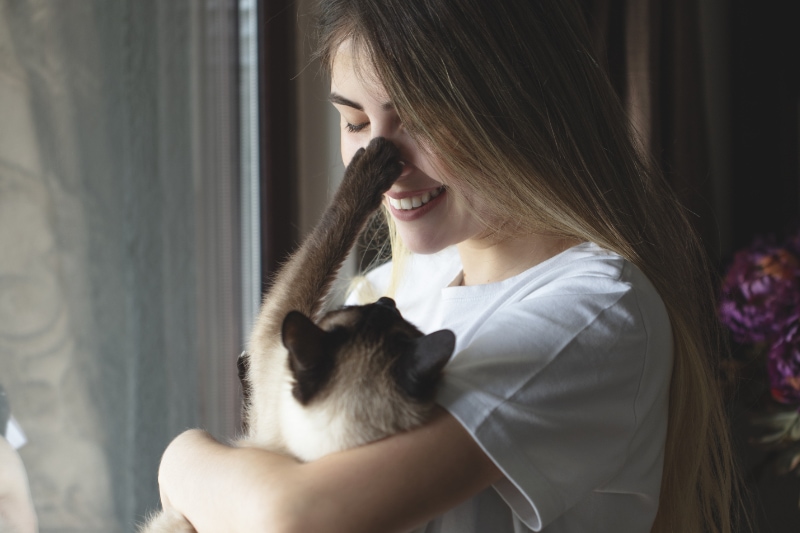 Transitioning Your Heat Pump. Image is a photograph of a woman holding a cat and the cat is reaching a paw up to touch the woman's nose.