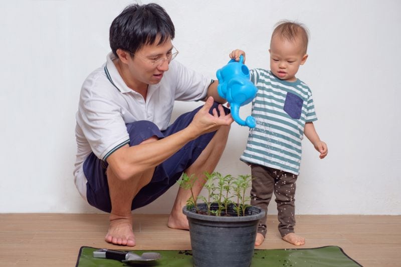 5 Ways to Improve Your Indoor Air Quality - Father and Son Watering Plants.